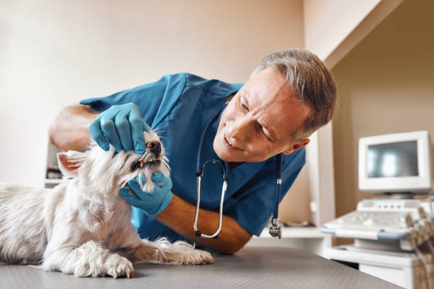 Best Emergency Root Canal Treatment in Berlin, NJ